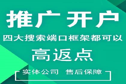 竞价推广的预算分配与优化：案例解读